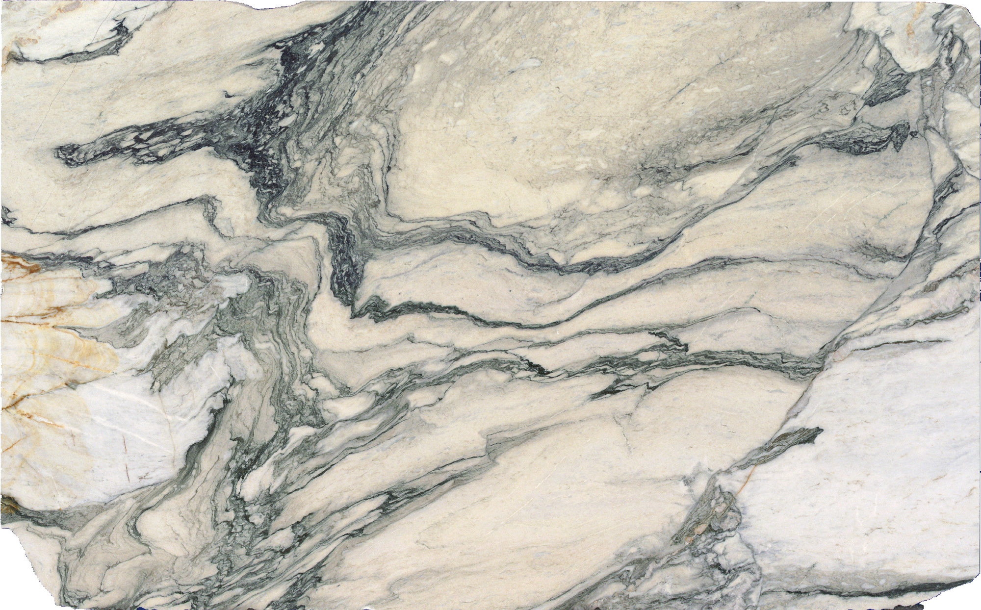 Full slab of Cipollino Azul marble with dark gray veining flowing across a cream and white background.