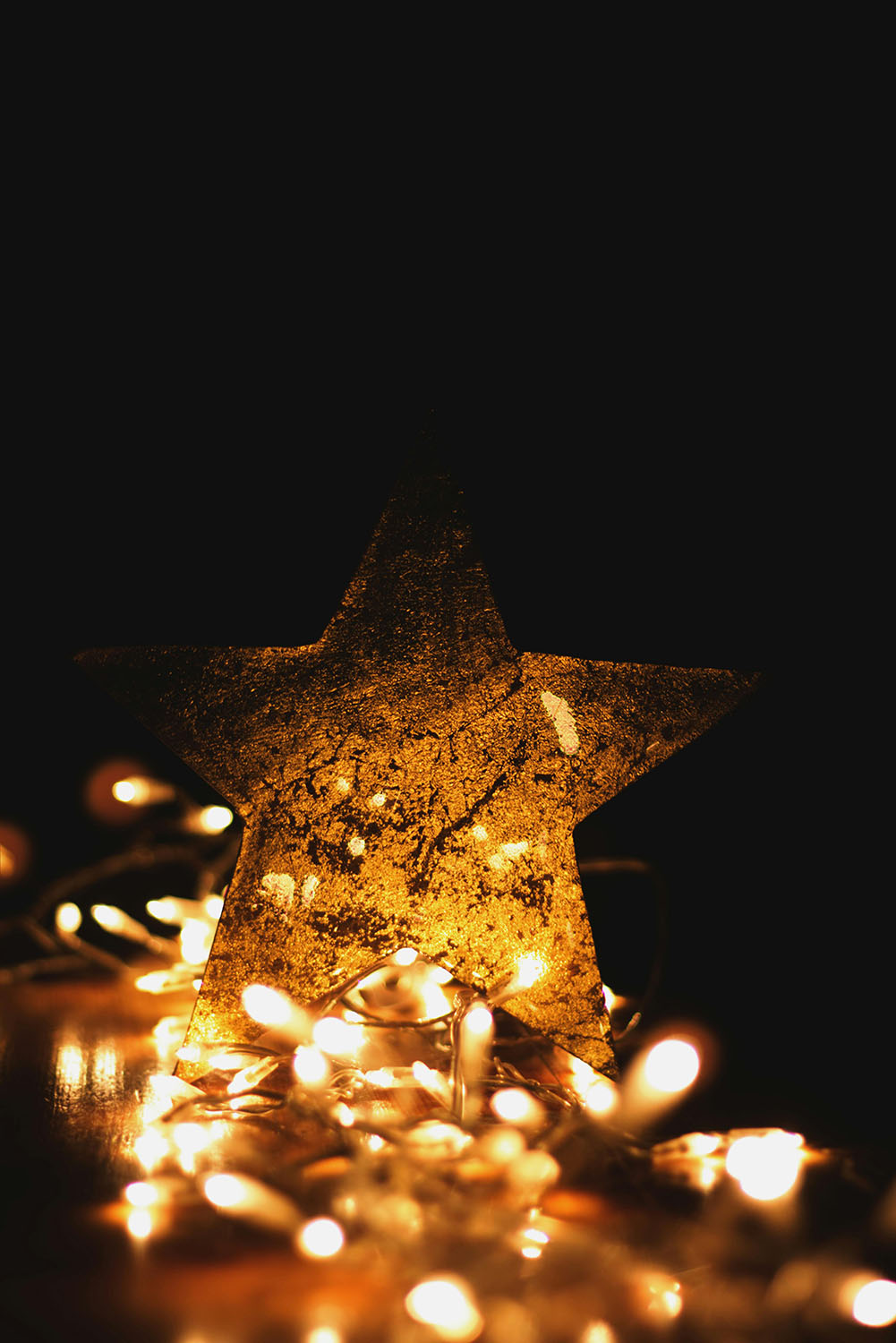 Opus Blog 121324