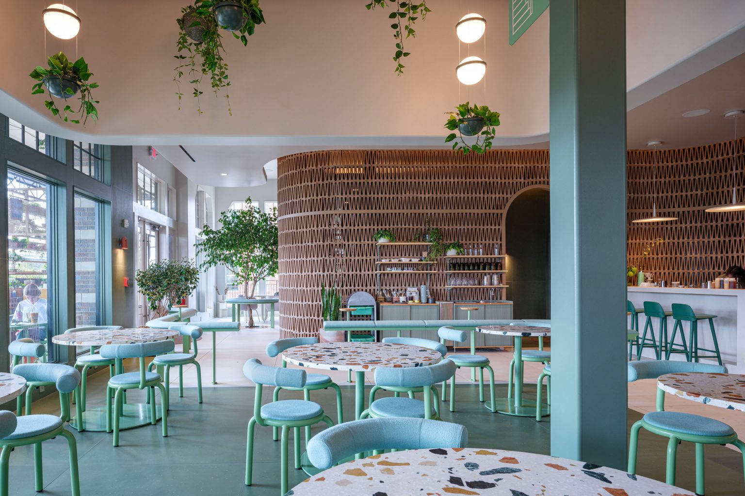 Celoisa Installation