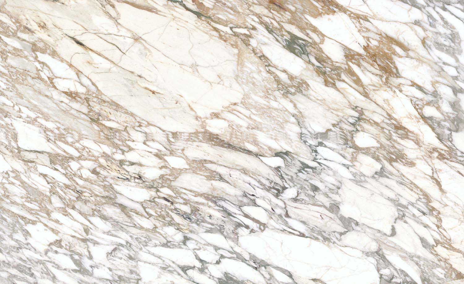 Calacatta Gold L Super Extra Honed