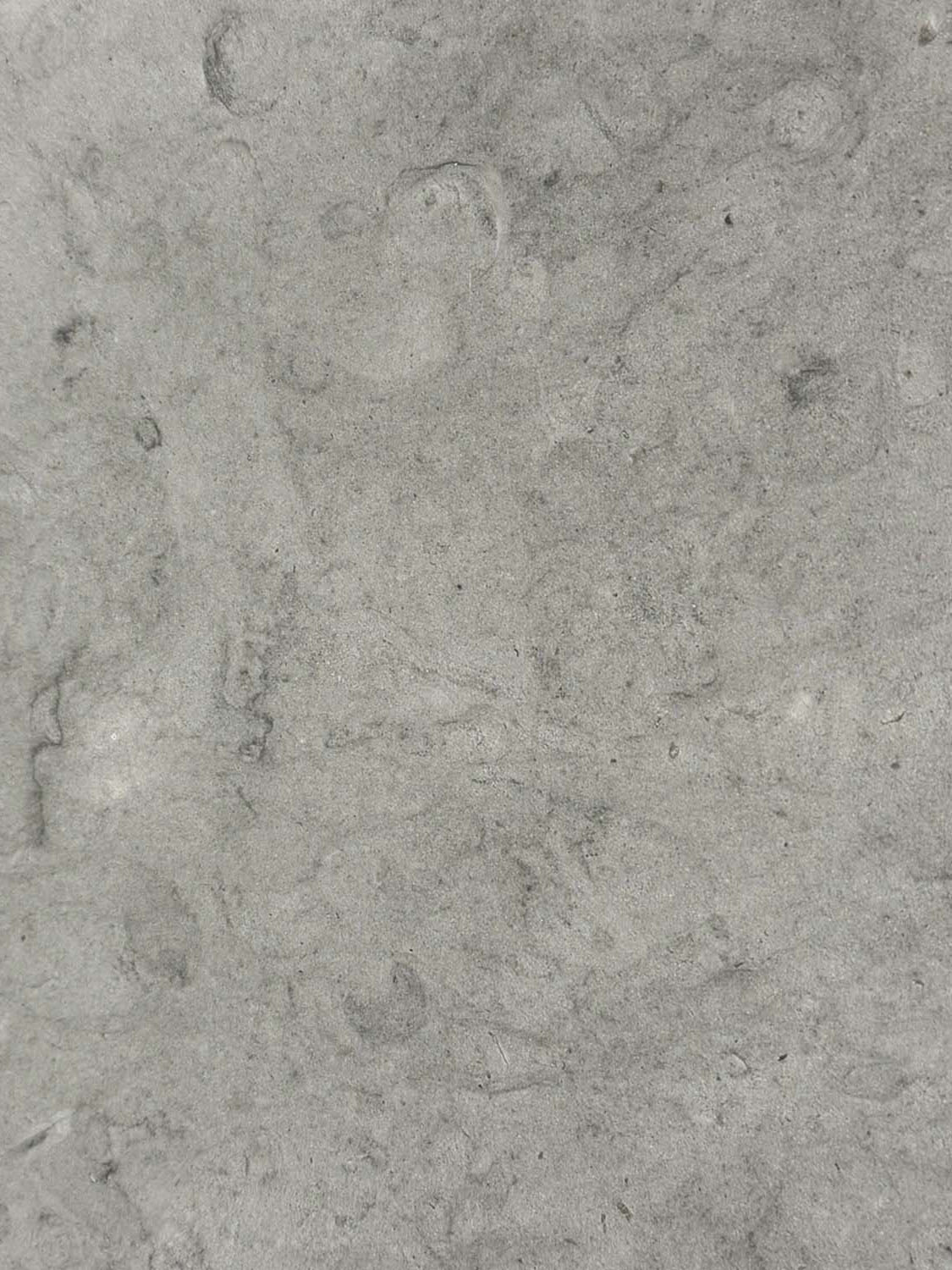 Four tiles in color Etheria Grey with a honed finish.